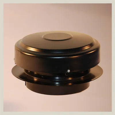 Extractor t/ hongo 12v chapa