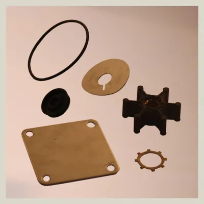 Kit reparacion Shurflo 3000